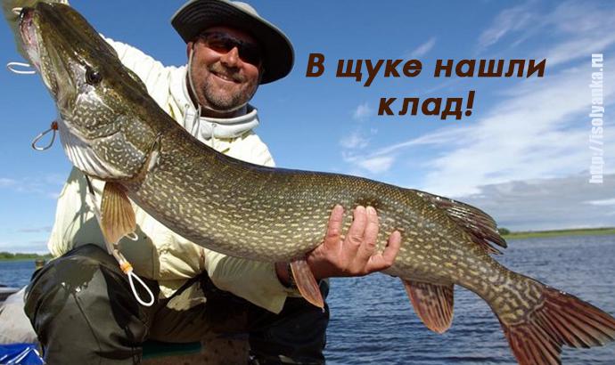 Когда рыбак вытащил эту щуку из воды он и не предполагал, что внутри нее находится целый клад! | 51