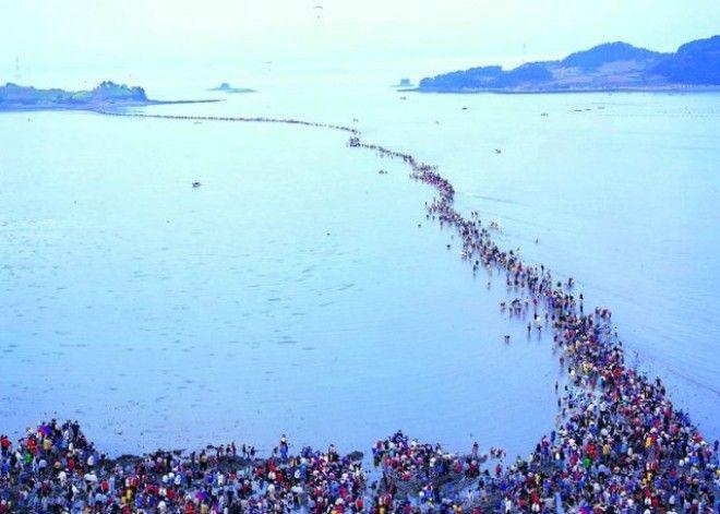 Библейское чудо в Корее — два раза в году море расступается и тогда... | 5