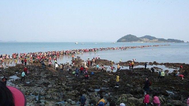 Библейское чудо в Корее — два раза в году море расступается и тогда... | 6