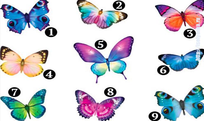 Выберите бабочку и узнайте что вас ждет в 2018 году! | 1