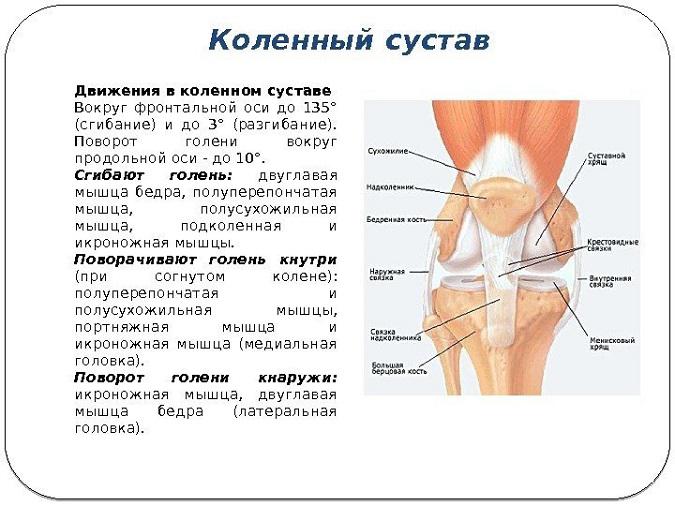 Народное средство для восстановления колен и суставов | 2