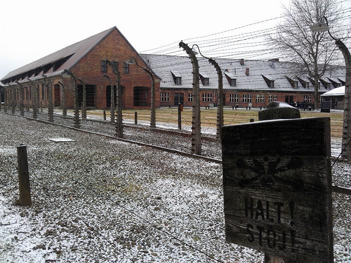 Найденные в Освенциме в 1980 году записи узника расшифровали... | 7