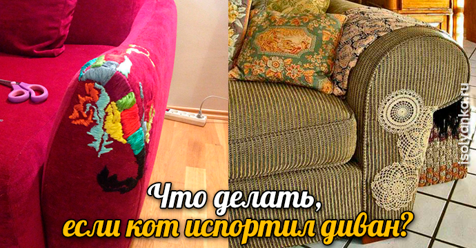 Что делать, если кот испортил диван? | 26