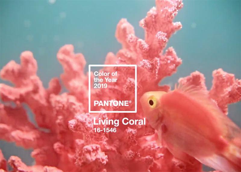 Главный цвет 2019 года: живой коралловый и 11 вещей этого оттенка которые должны быть в вашем гардеробе | 2