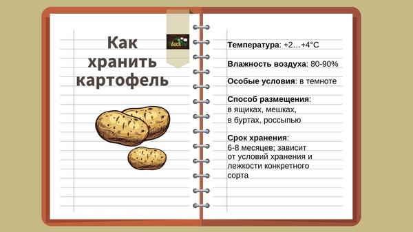условия хранения картофеля, температура хранения картофеля